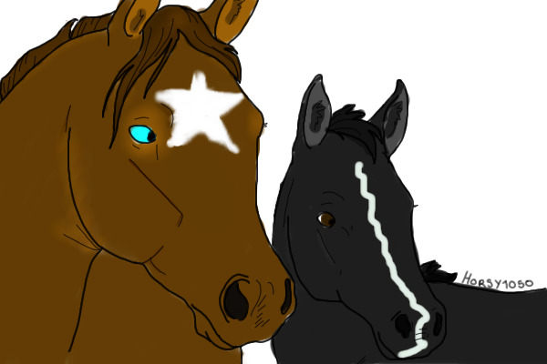 Mercy and her foal Jaged Thunder