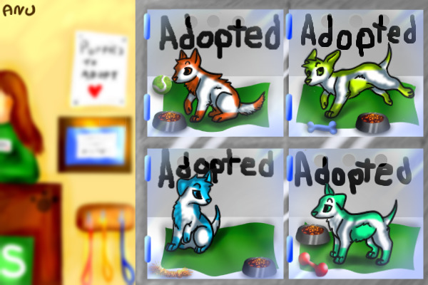 Adoptable puppies