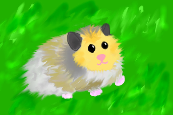 My Hamster, Nibbles! ^^