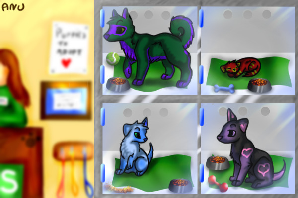 Pups For Adoption! <3