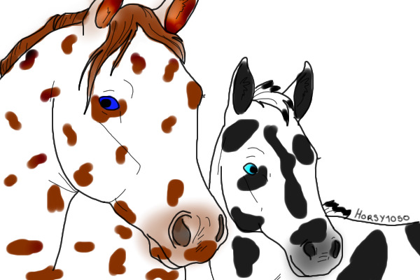 MAre and foal