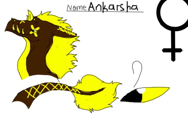 Ankarsha