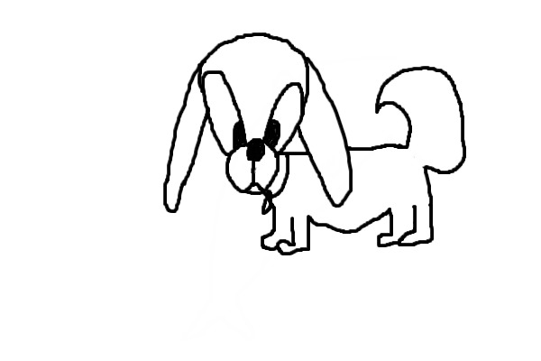Cute Dog