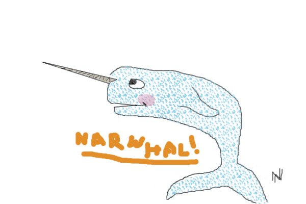 NARWHAL!