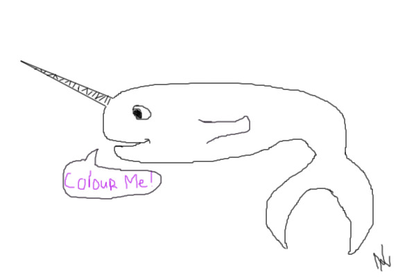 Colour in Mr. Narwhal!
