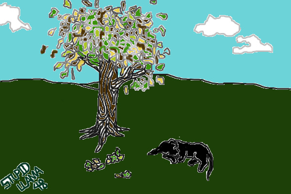 Tree and dog