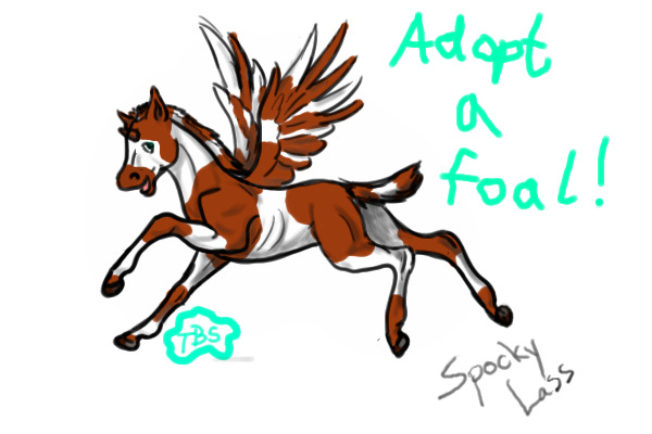 The Blue Sky Foaladoptioncenter (Open!)
