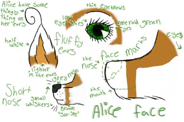 to Alice's page: Alice face