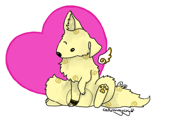 Angel ♥