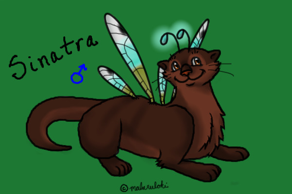 Wild Otterfly #1 - Sinatra