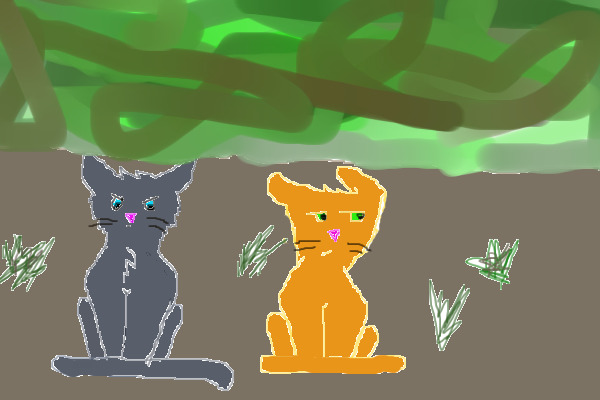 this iashfur (grey one) angry at squirrelflight (orange)
