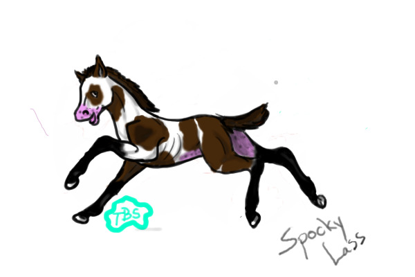 Painted Spirit (filly)