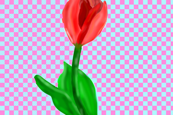 Valentines Flower :)