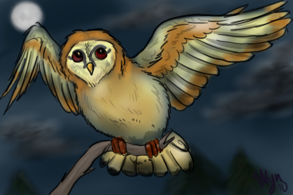 my owl entry