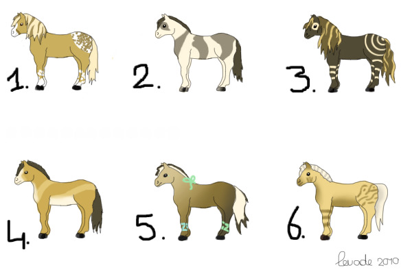 Adoptable horses