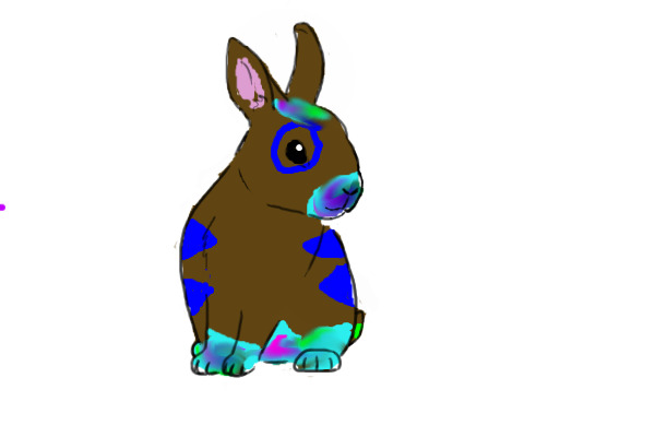 bunny