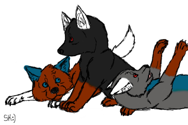 The pups!