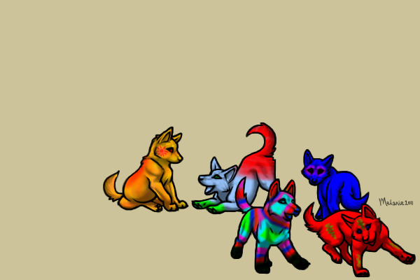 Rainbow pups