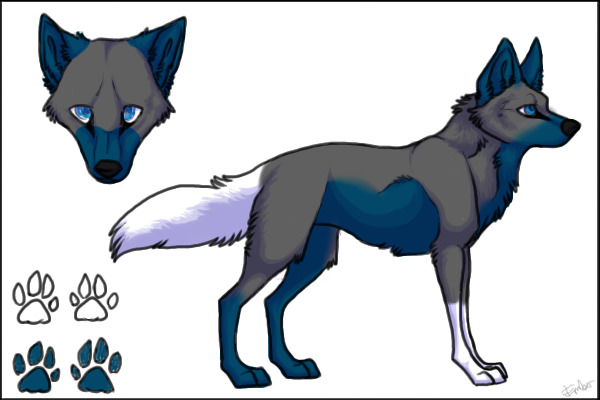 My fare Raven