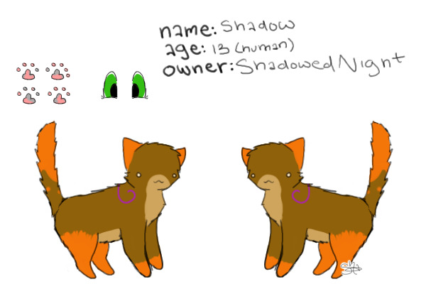 Shadow Reference sheet