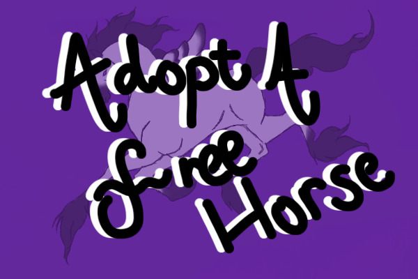 Adopt A Free Horse!