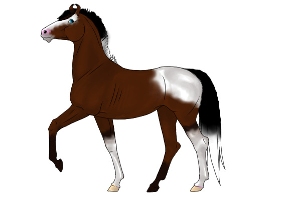 My Entry for Horsey's Contest