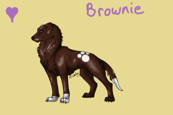 Brownie ♥