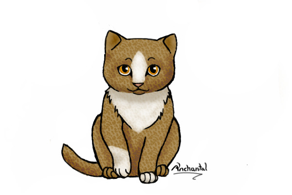 Smudge