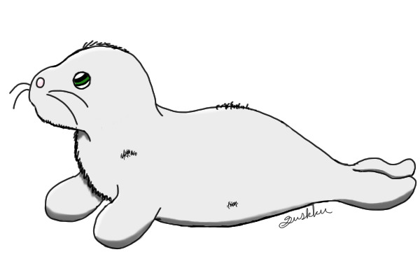Seal pup plushie. c: