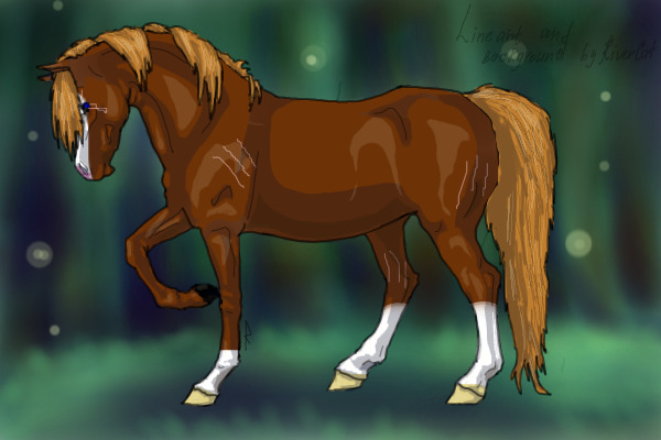Horse