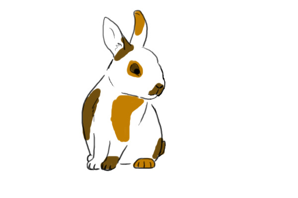 bunny