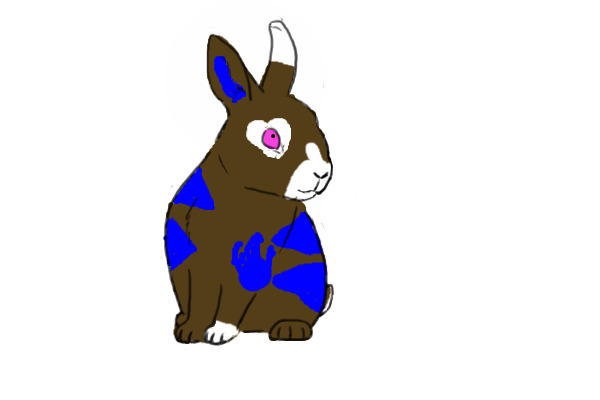 bunny