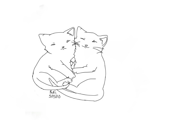 Sleeping/Cuddling Kittens
