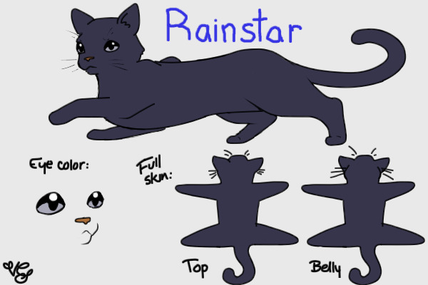 AshClan Cats