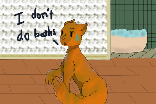 I don't do baths