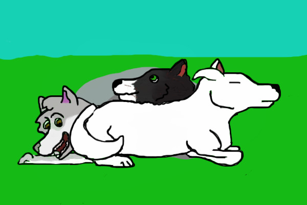 December Pack Drawing 1