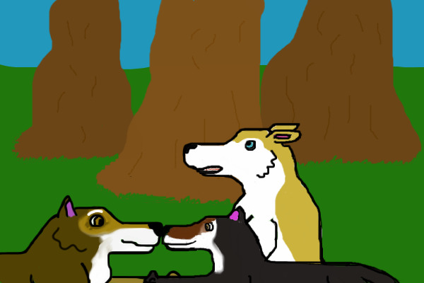 December Pack Drawing 2