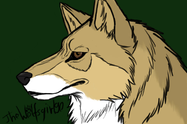 Sapientia