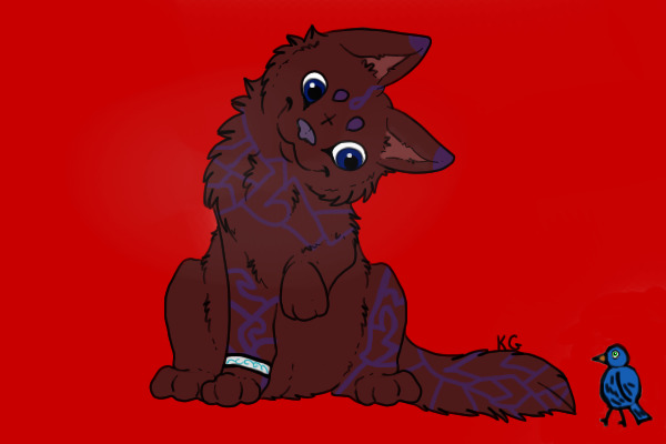 Contest Entry