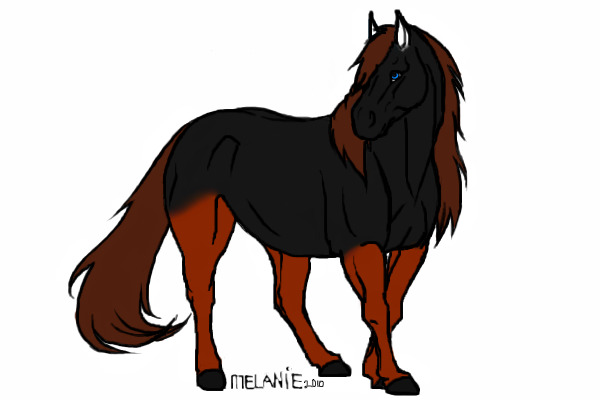 Satoshi: Horse form