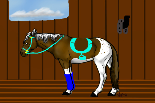 :) Entry horse