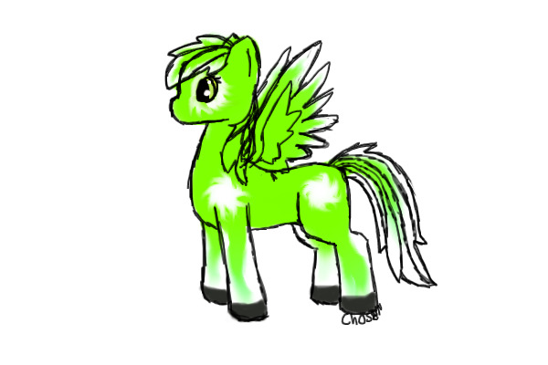 Pony