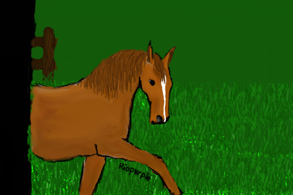 WIP Horse in padddock
