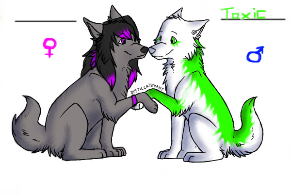 Toxic's girlfriend