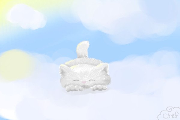 Fluffy Kitten in the Clouds