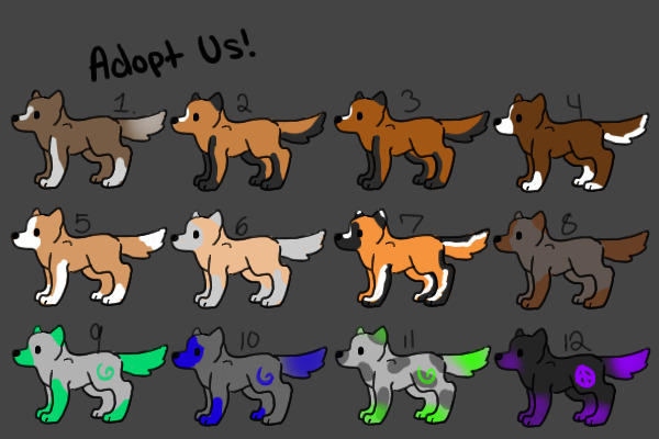 Adoptable Puppies!