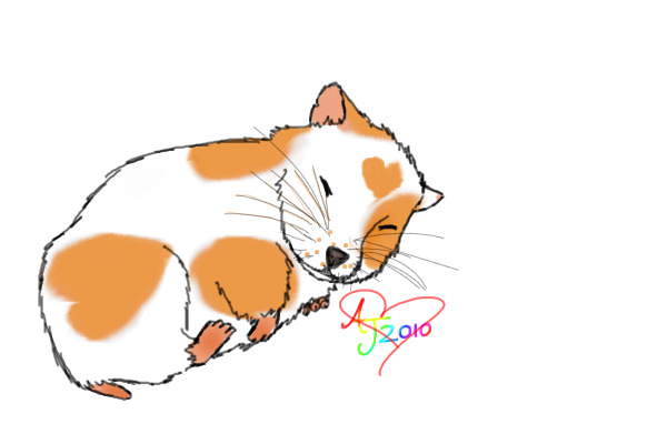 hamster