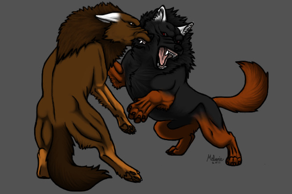 Ember Vs. Solomon
