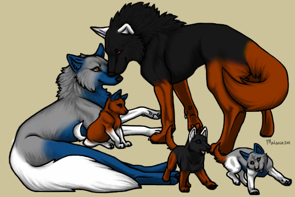 Meet the family