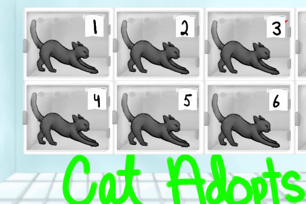 Blizzard Cat Adopts (BCA) | Now Open!